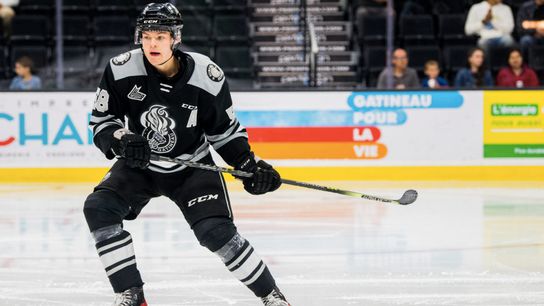 In the System: Prospects making runs in junior playoffs taken at PPG Paints Arena (Weekly Features)